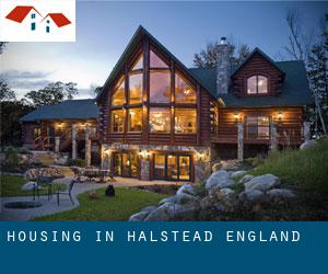 Housing in Halstead (England)
